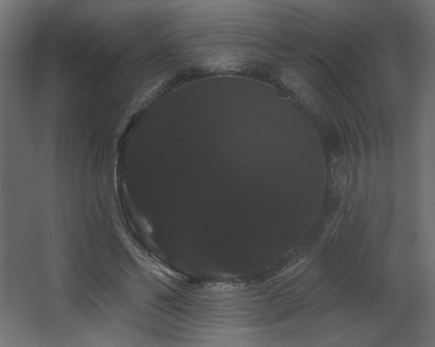 X0000068290494200604211141