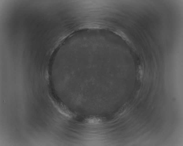X0000068290500200604211141