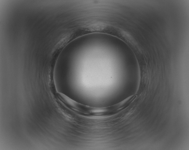 X0000068290501200604211140
