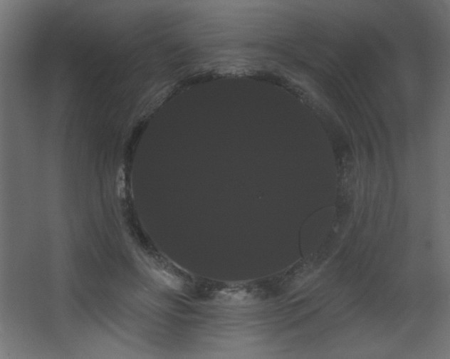X0000068290502200604211140