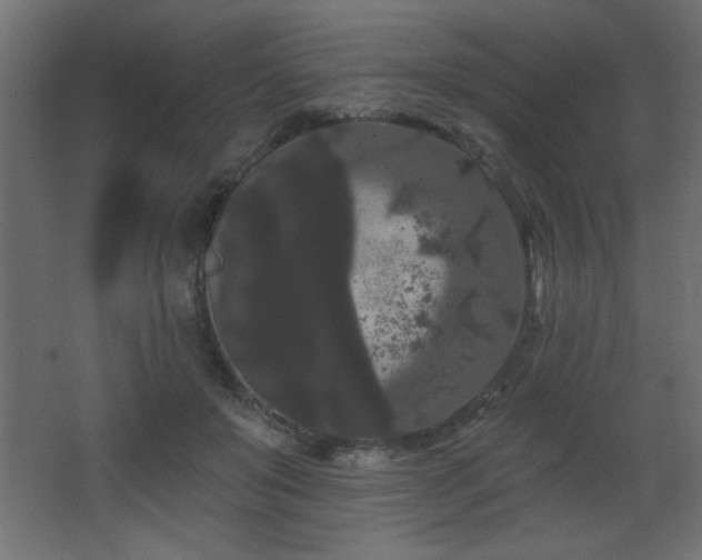 X0000068290503200604211140