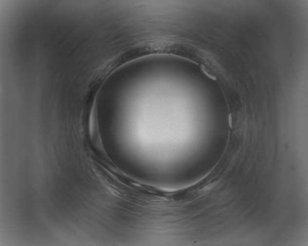 X0000068290505200604211140