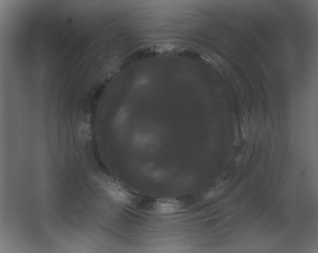 X0000068290510200604211140