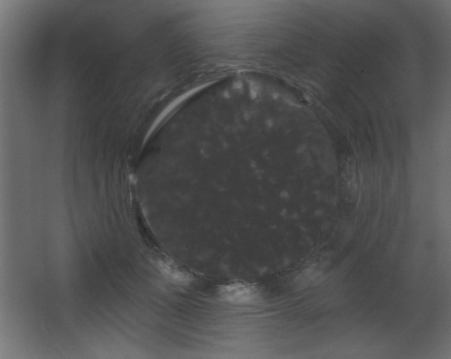 X0000068290511200604211140