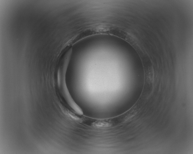 X0000068290512200604211140