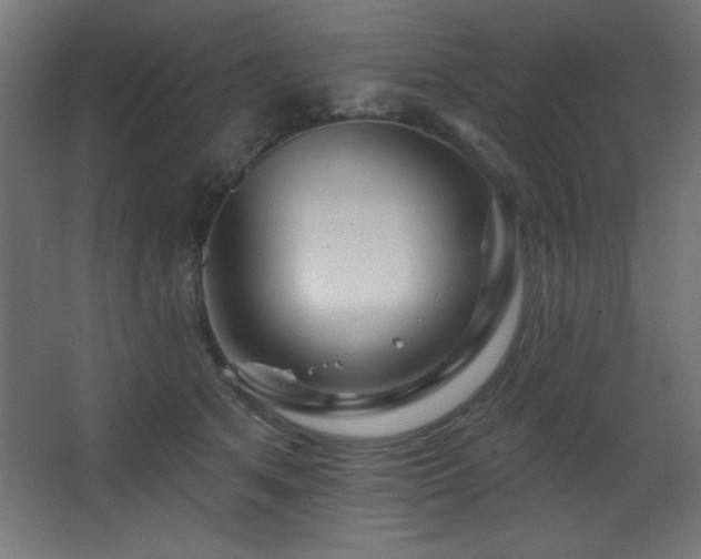 X0000068290513200604211140