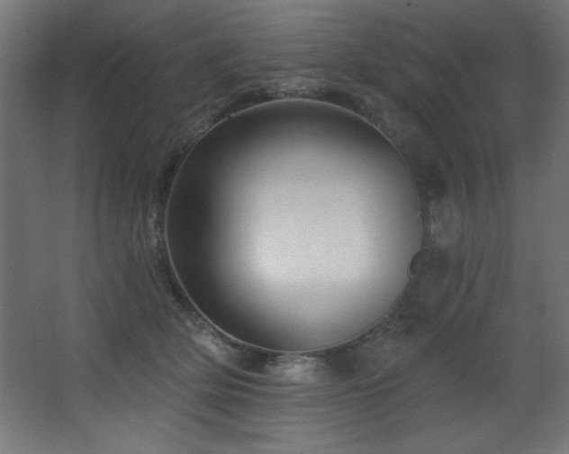 X0000068290514200604211140