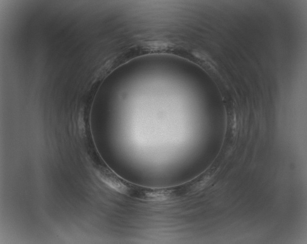 X0000068290516200604211140