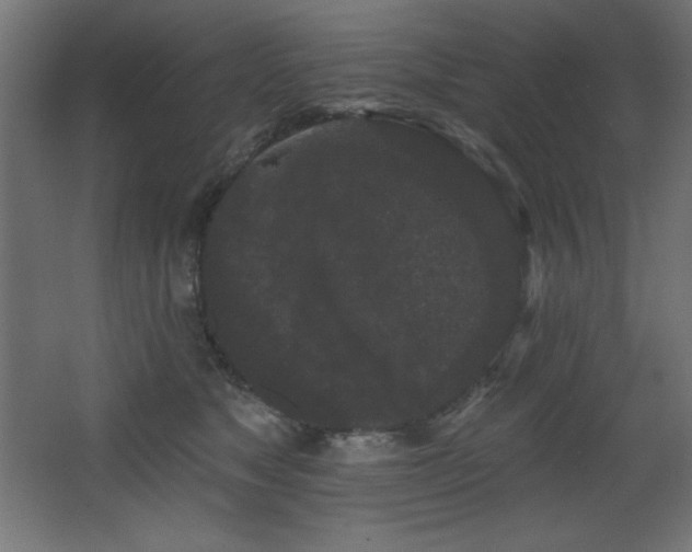 X0000068290517200604211140