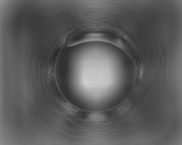 X0000068290521200604211140