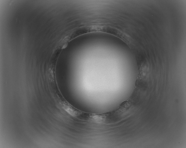 X0000068290522200604211140