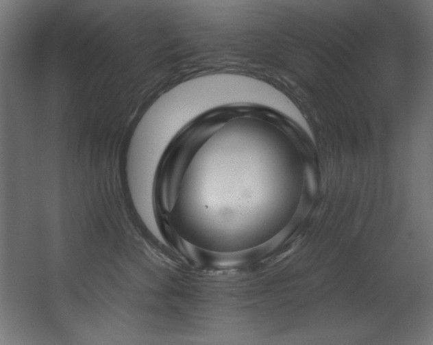 X0000068290524200604211140