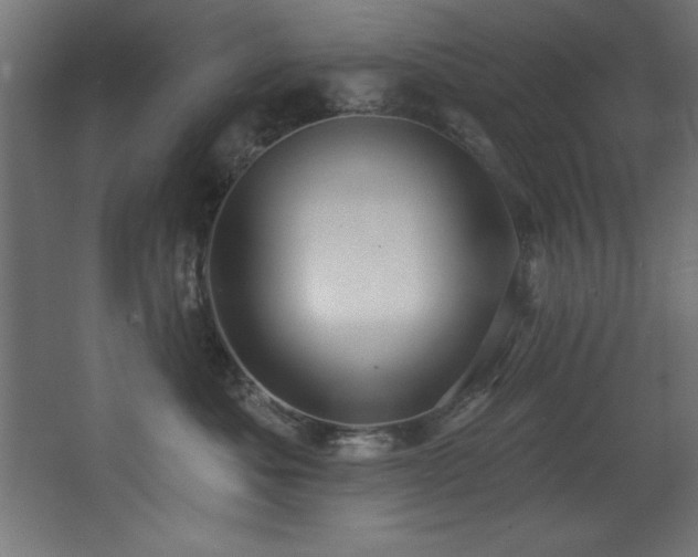 X0000068290525200604211140