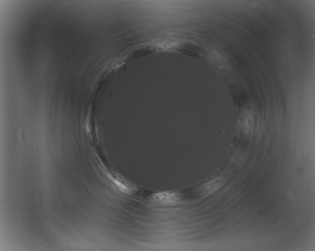 X0000068290526200604211140