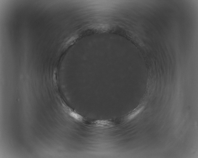 X0000068290528200604211140
