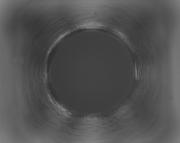 X0000068290531200604211139