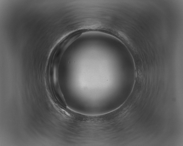 X0000068290532200604211139