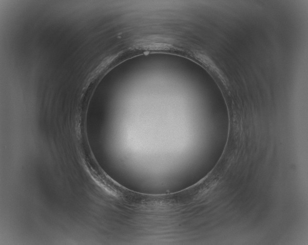 X0000068290533200604211139
