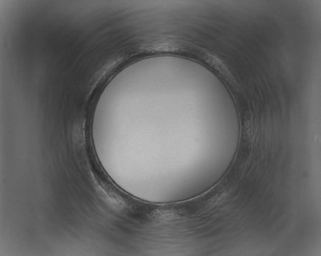 X0000068290534200604211139