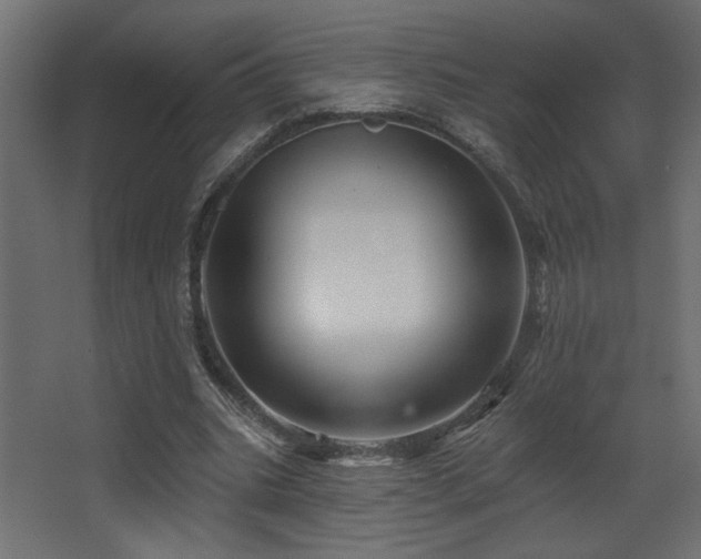X0000068290535200604211139