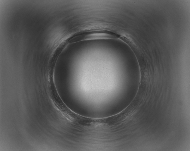 X0000068290539200604211139