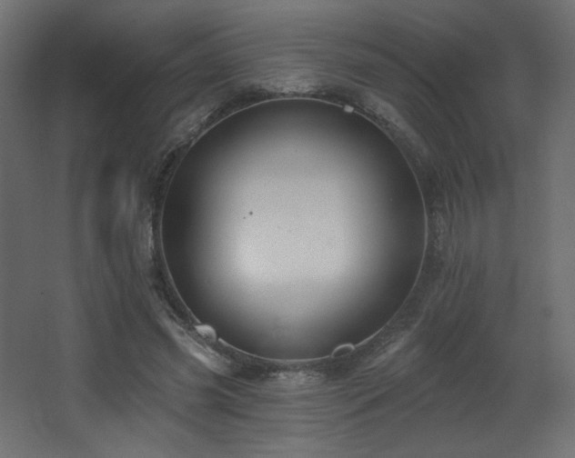 X0000068290541200604211139