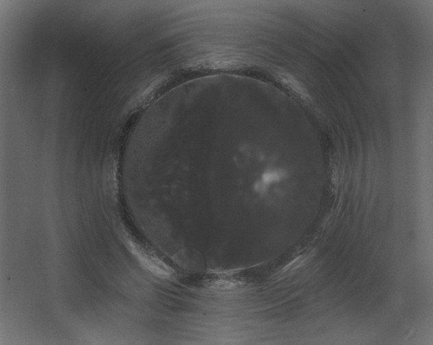 X0000068290542200604211139