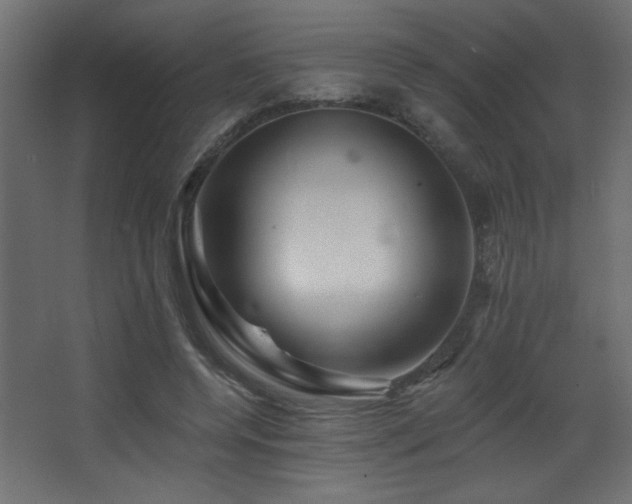 X0000068290544200604211139