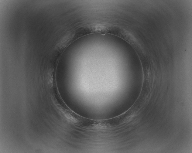 X0000068290545200604211139