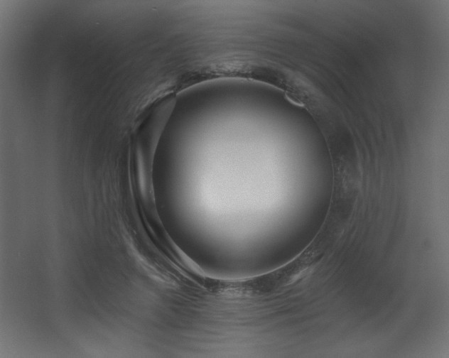 X0000068290546200604211140