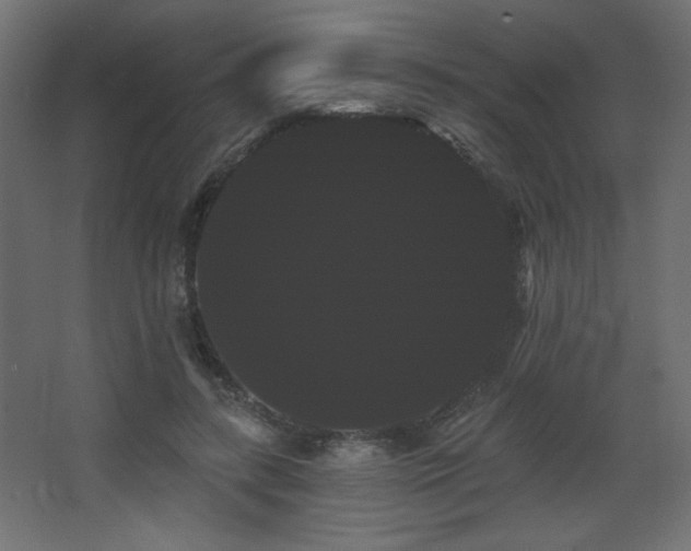 X0000068290547200604211140