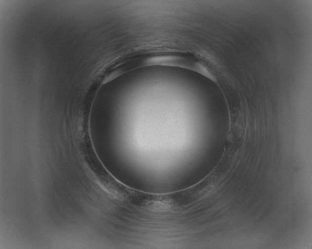 X0000068290548200604211140