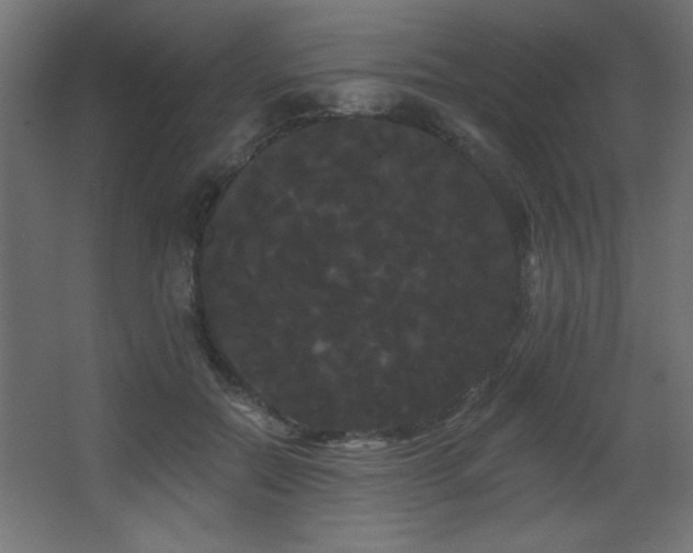 X0000068290554200604211140