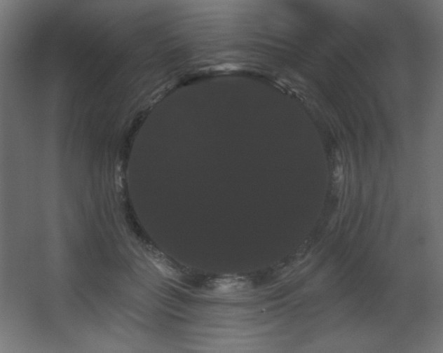 X0000068290555200604211140