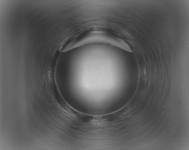 X0000068290556200604211140
