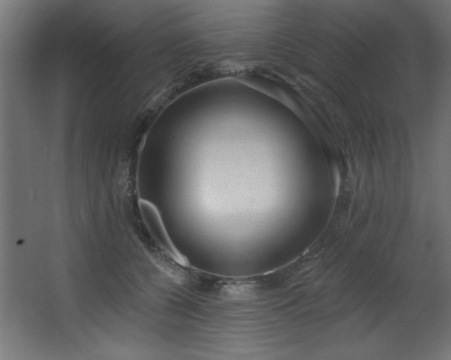 X0000068290560200604211140