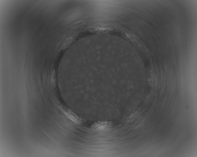 X0000068290563200604211140