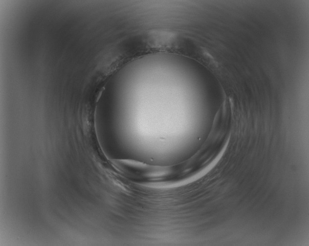 X0000068290566200604211140