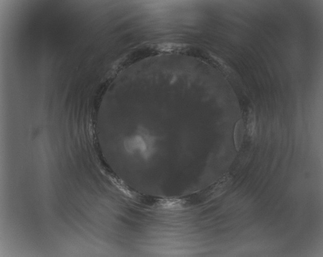 X0000068290569200604211140