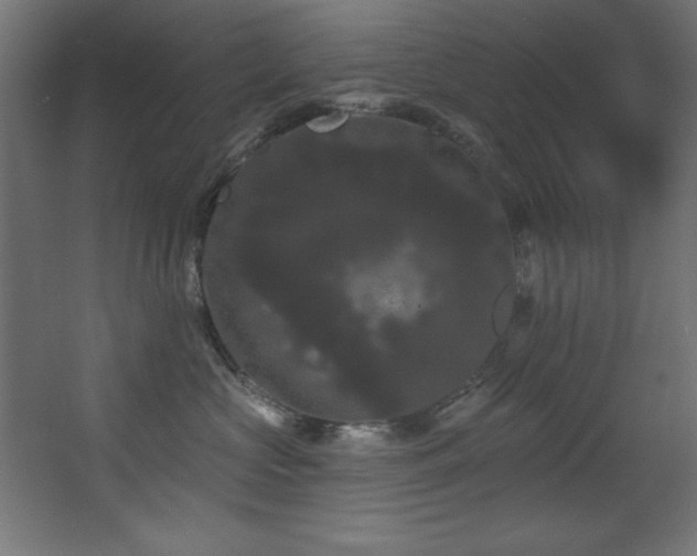 X0000068290573200604211140
