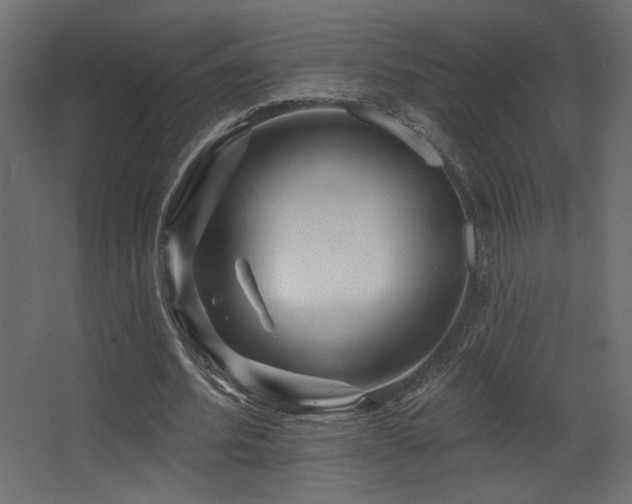X0000068290580200604211139