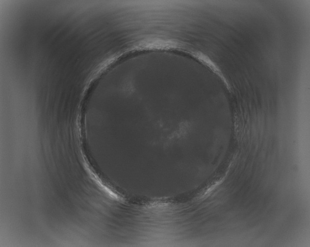 X0000068290581200604211139
