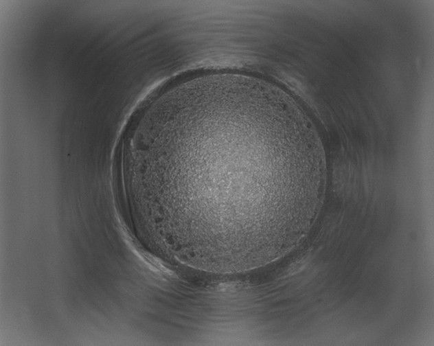 X0000068290584200604211139