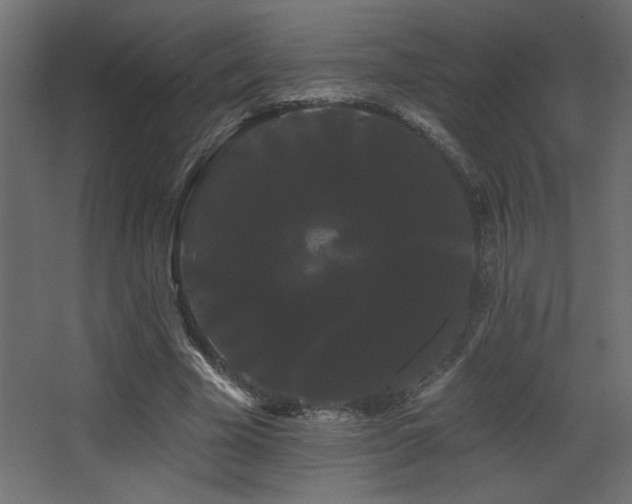 X0000068290585200604211139