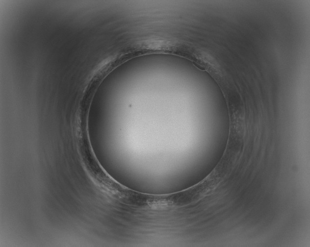 X0000068290587200604211139