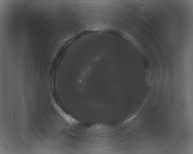 X0000068290589200604211139