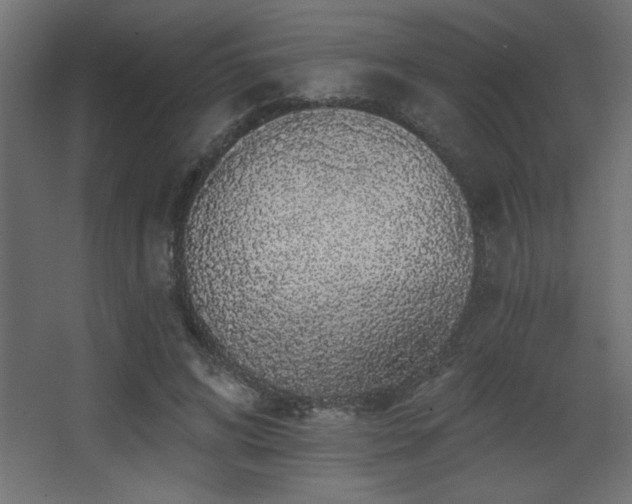 X0000068290592200604211139