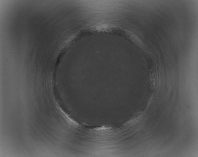 X0000068290593200604211139