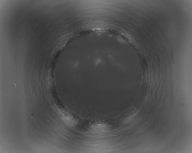 X0000068290594200604211139