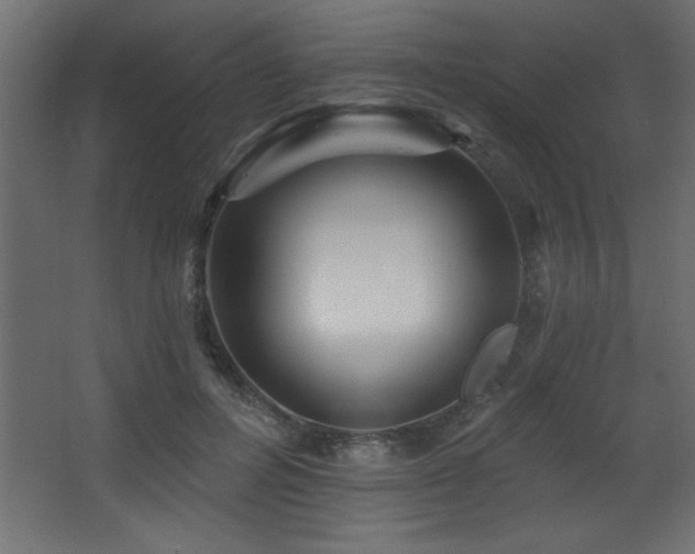 X0000068290600200604211139